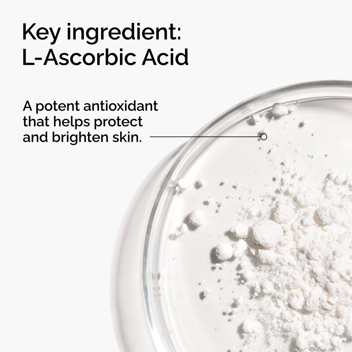 100-l-ascorbic-acid-powder-l3 FY25-D41247-ORD-Web-PDP-100-LAscb-Pwd-1x1-EN-2a.jpg