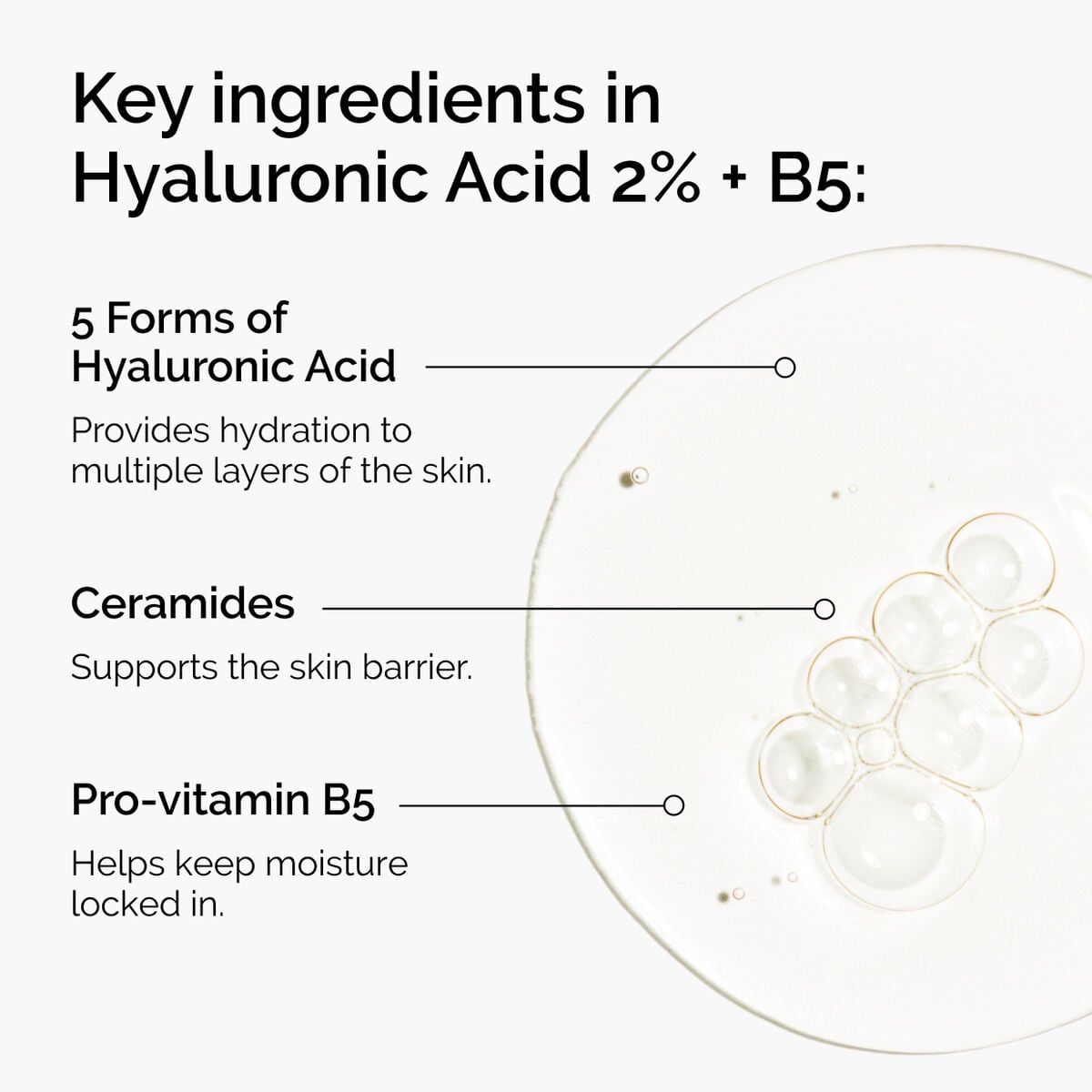 hyaluronic-acid-2-b5-with-ceramides-c7 ord-hyaluronic-acid-2pct-b5-hydrating-serum-ingredients-graphic.jpg